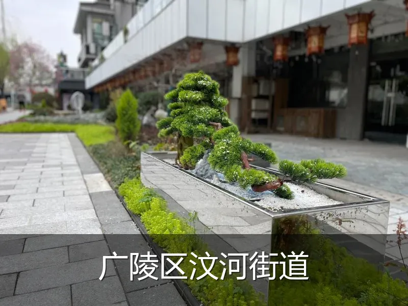 广陵区汶河街道